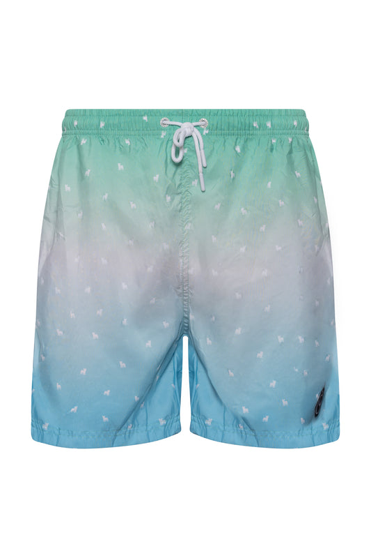 Бански Abstract