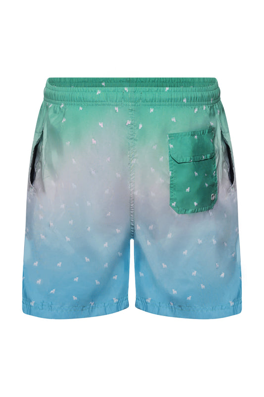 Бански Abstract